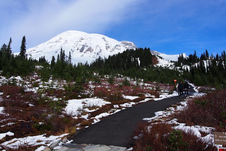 event-img-Mount Rainier Adventure Day Tour from Seattle