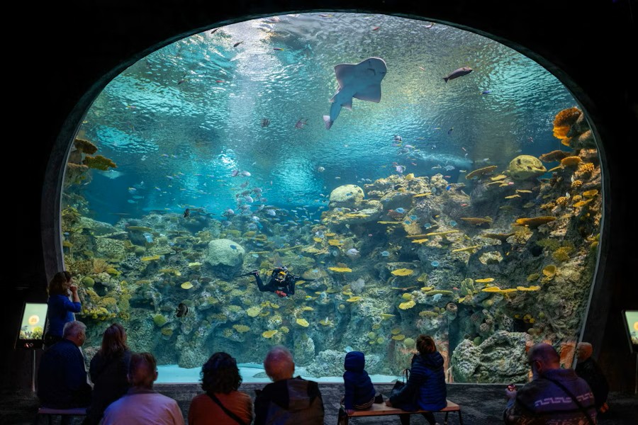 event-img-Seattle Aquarium Tickets with Marine Exhibits
