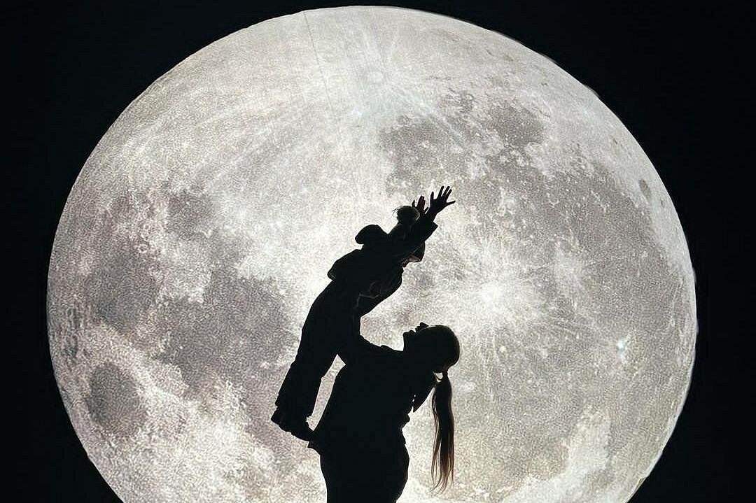 Miracle at Big Rock Holiday Lights Walk-Through Ticket