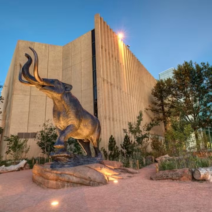 Denver Museum of Nature & Science Walk-In Ticket