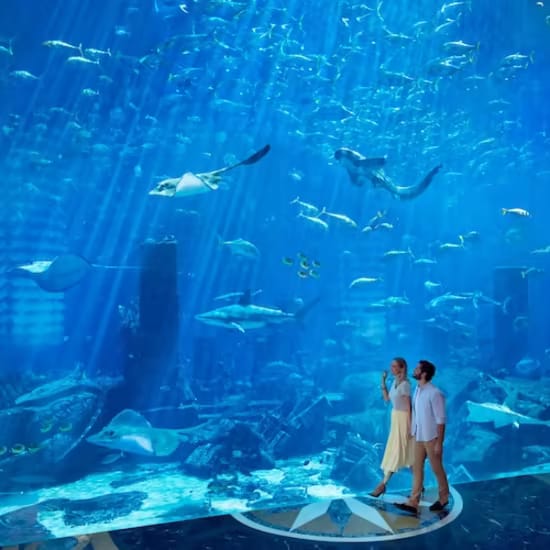 Explore Dubai Lost Chambers – Ultimate Snorkeling Adventure