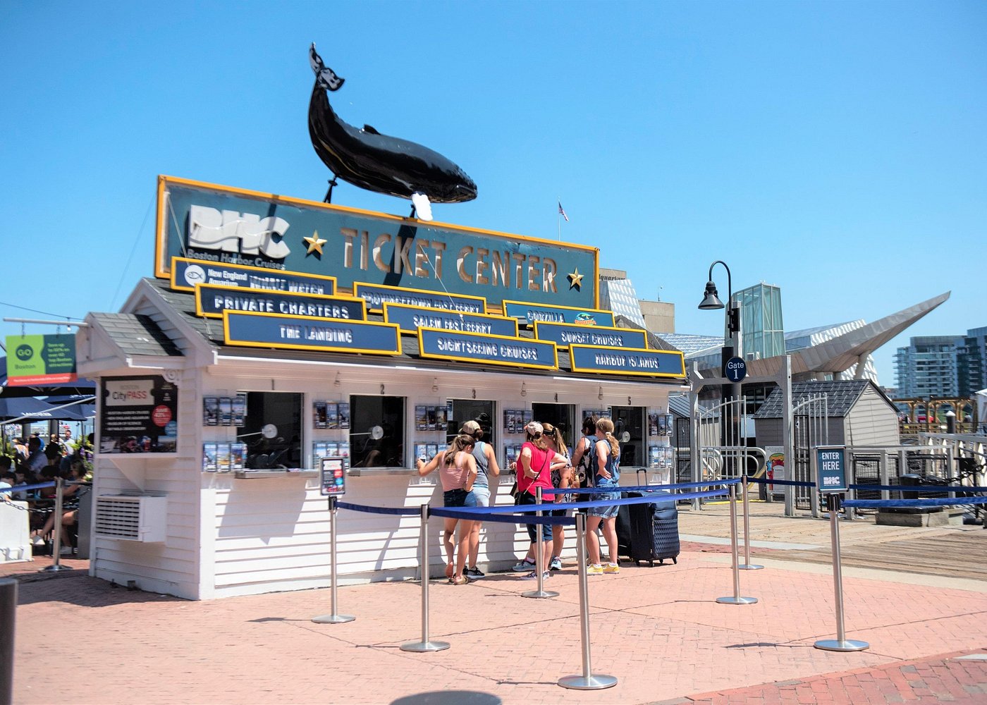 event-img-High-Speed Whale Watching Cruise with City Cruises Boston