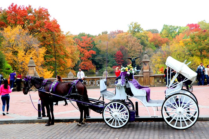 Romantic Central Park Horse-Drawn Carriage Ride