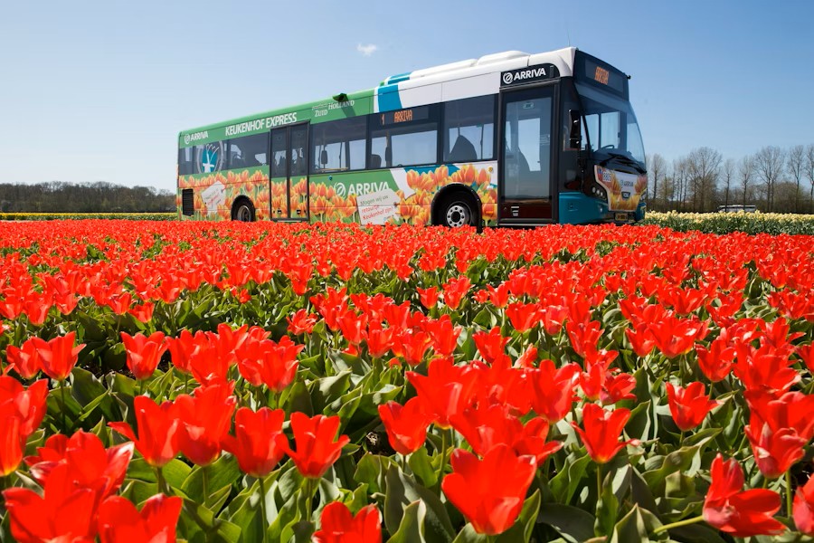 event-img-Public Transport Pass Amsterdam & Region – Trains, Buses, Trams Included