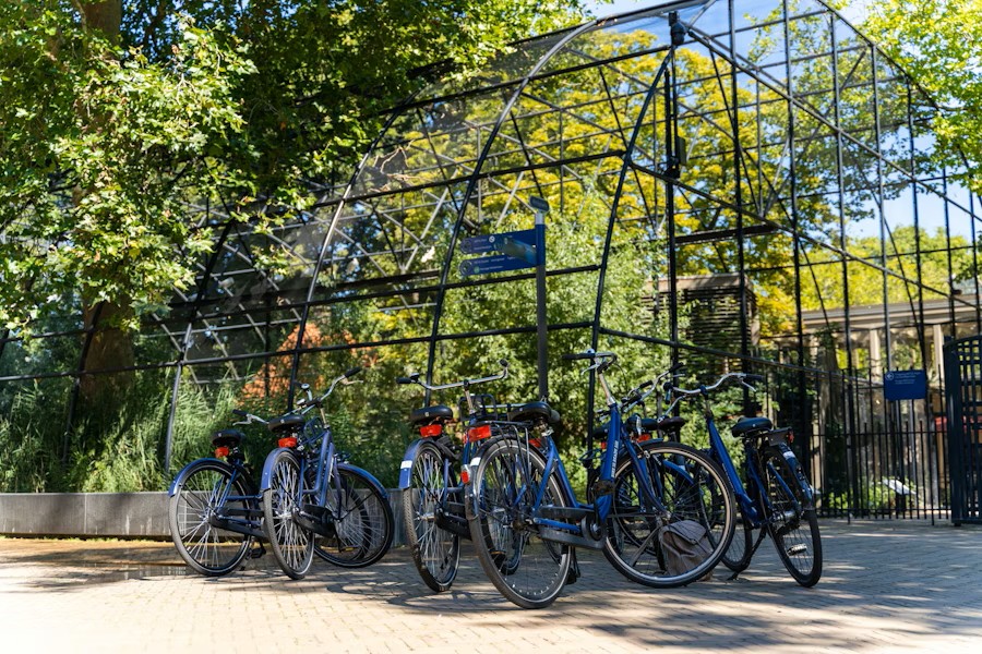 event-img-Explore Amsterdam History on a Guided Bike Tour
