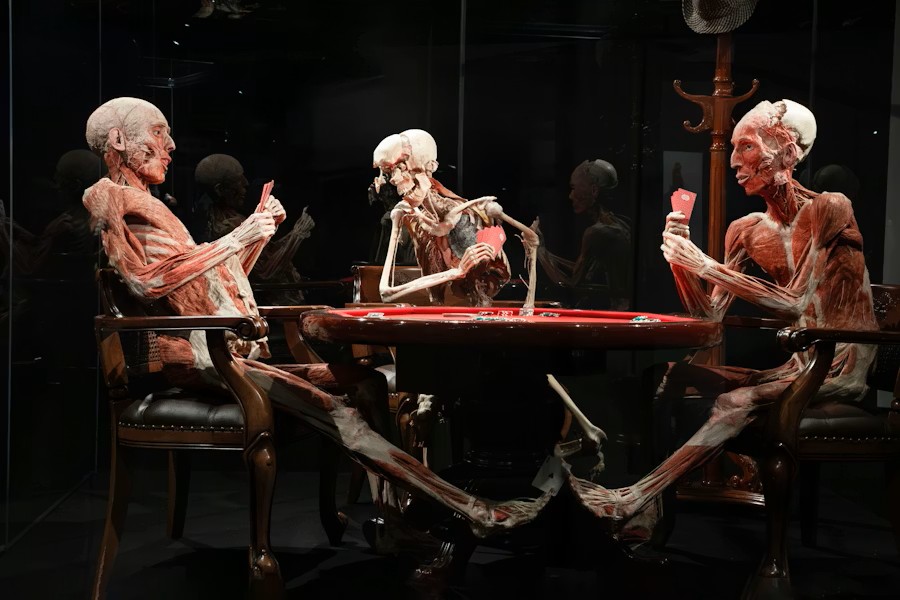 event-img-Skip-the-Line Tickets for Body Worlds Exhibition in Amsterdam