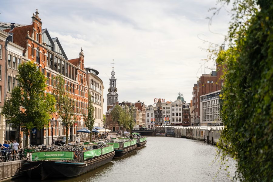 Discover Amsterdam on a Guided Sightseeing Tour