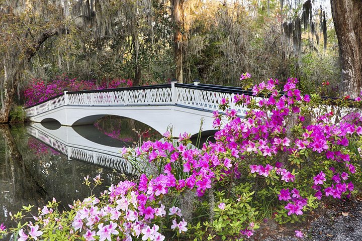 event-img-Magnolia Plantation Day Trip from Charleston – Gardens & History Tour