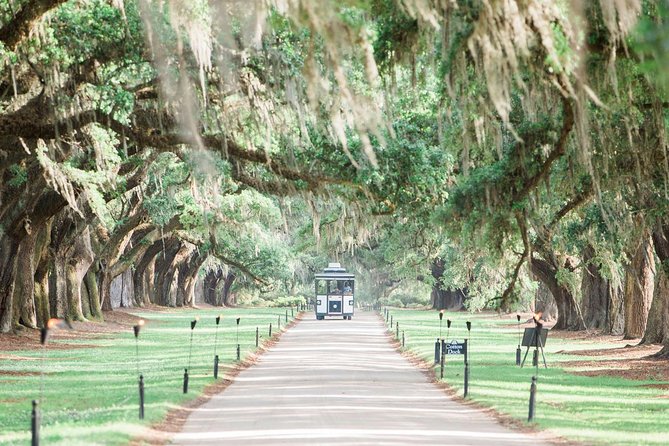 event-img-Boone Hall Plantation Tour in Charleston | Tickets & Guided Experience
