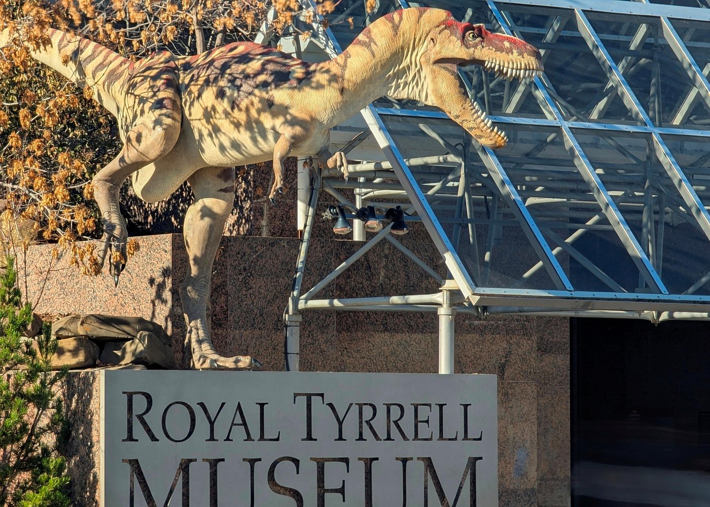 event-img-Calgary to Drumheller Badlands Tour – Small Group Dinosaur & Fossil Discovery
