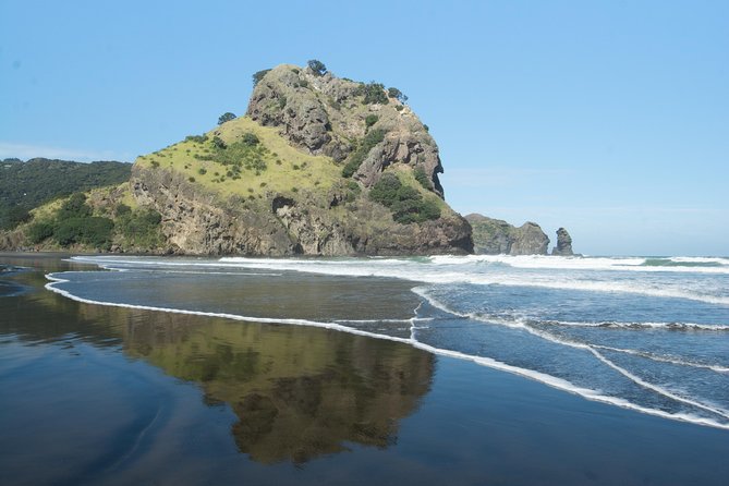 event-img-Auckland Rainforest & Coast Tour – Explore the Waitākere Ranges