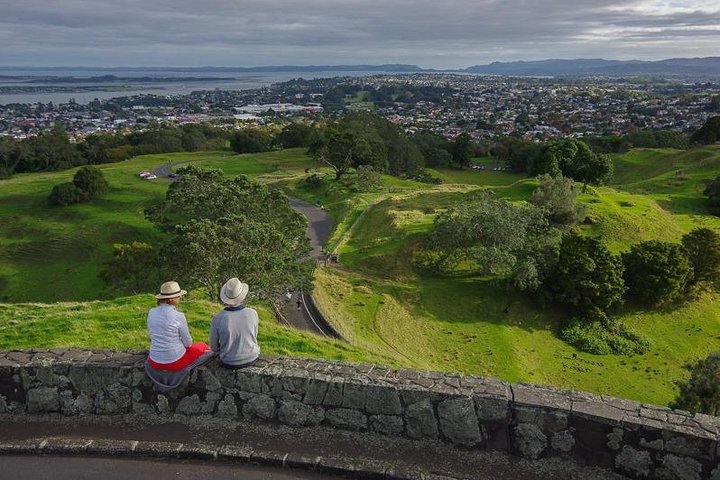 event-img-Auckland Volcanic Field Tour – Half-Day Guided Nature Experience