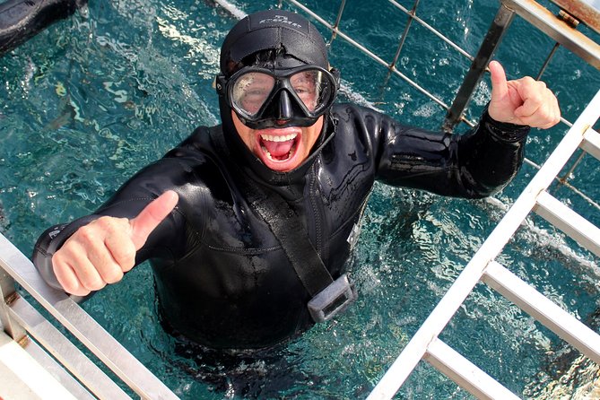 event-img-Cape Town Shark Cage Diving Experience – Encounter Great White Sharks