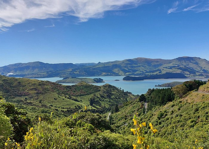 event-img-Christchurch & Willowbank Wildlife Tour from Lyttelton Cruise Port