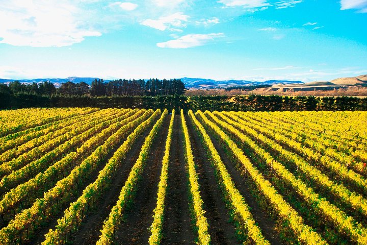 event-img-Waipara Wine Region Day Tour from Christchurch