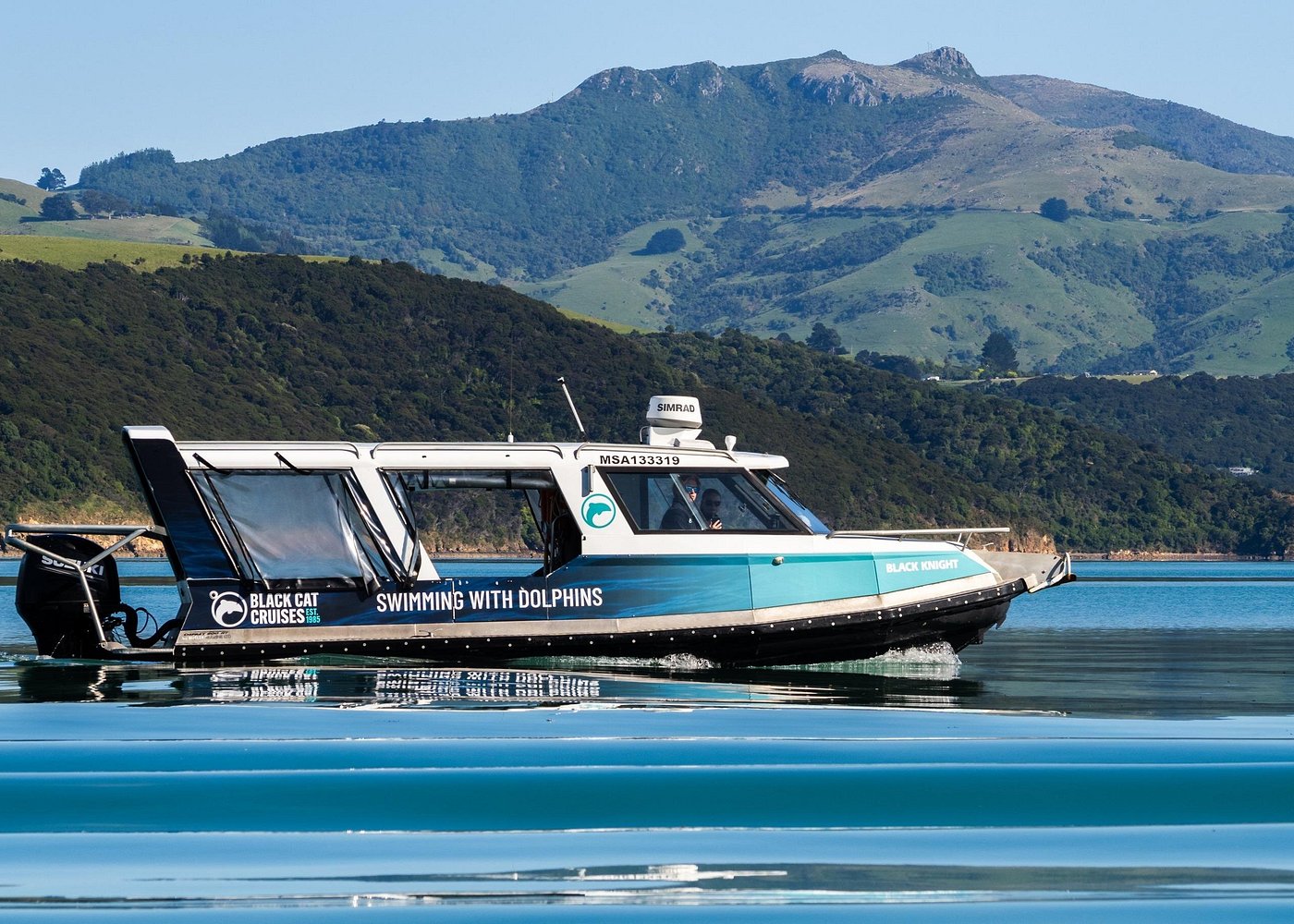 event-img-Christchurch to Akaroa Dolphin Swimming Experience