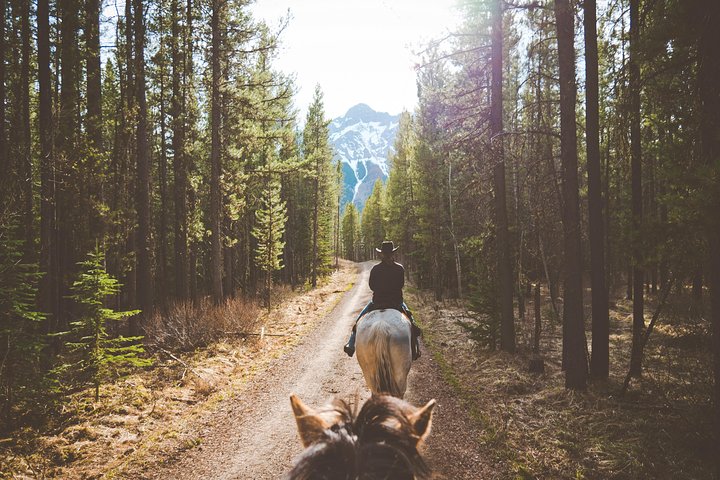 event-img-Calgary Horseback Ride – Explore the Scenic Outdoors Near Calgary