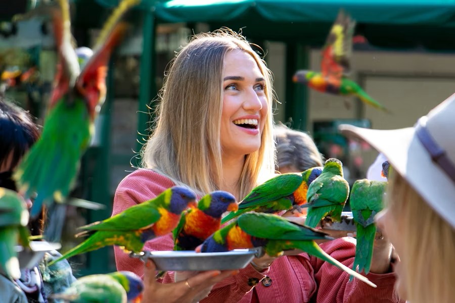 event-img-Currumbin Wildlife Sanctuary Tickets – Meet Australia’s Iconic Animals