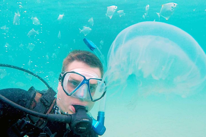 event-img-Gold Coast Scuba Diving Tour – Explore the Underwater World of Gold Coast