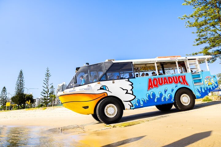 event-img-Gold Coast Aquaduck Experience – Explore by Road and Water in One Tour