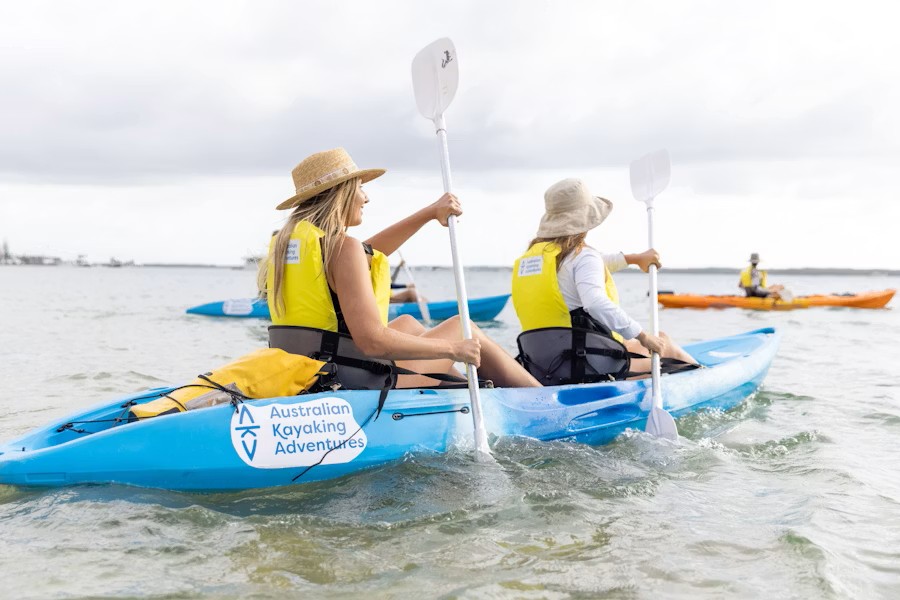 event-img-Morning Kayaking & Snorkeling Tour – Discover Dolphins on the Gold Coast