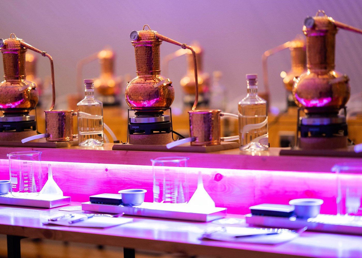 event-img-Sip & Learn Gin Tasting in Aberdeen