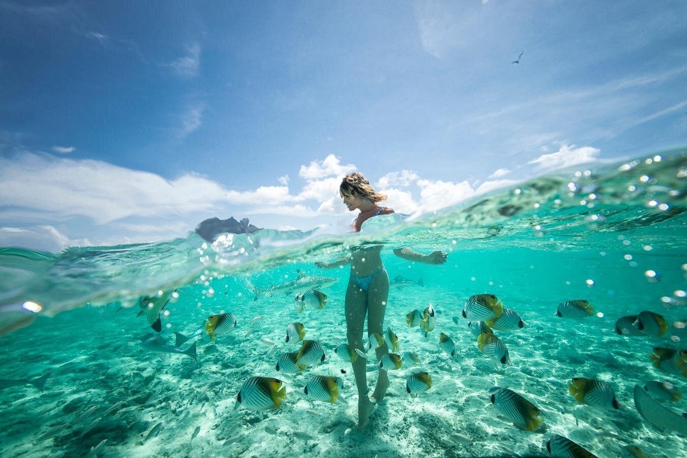 event-img-Bora Bora Snorkeling Tour – Eco Cruise with Sharks and Stingrays