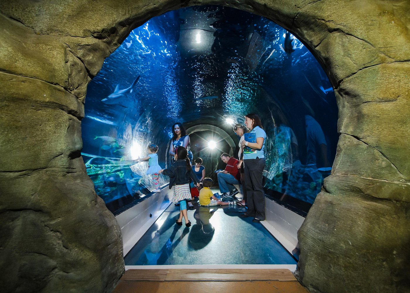 event-img-SEA LIFE Aquarium Grapevine Tickets – Explore Marine Life