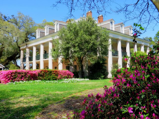 event-img-Oak Alley Plantation Day Trip from New Orleans