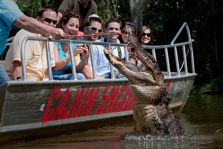event-img-New Orleans Honey Island Swamp Tour