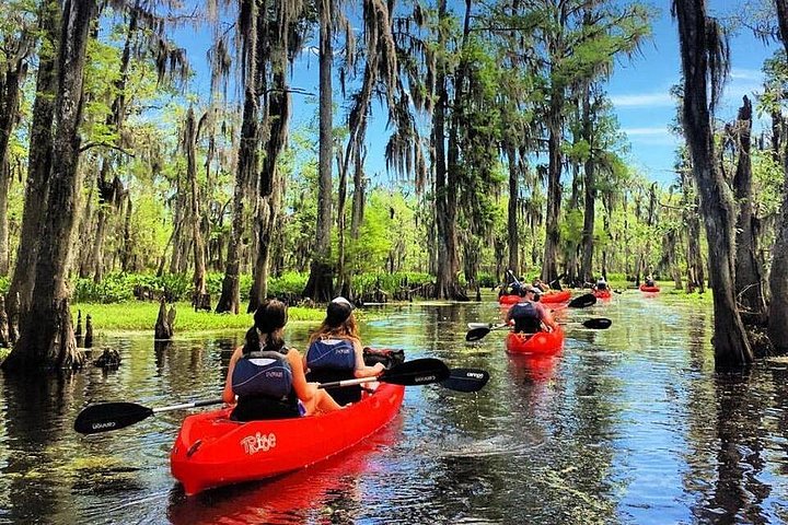 event-img-New Orleans to Manchac Swamp Kayak Tour