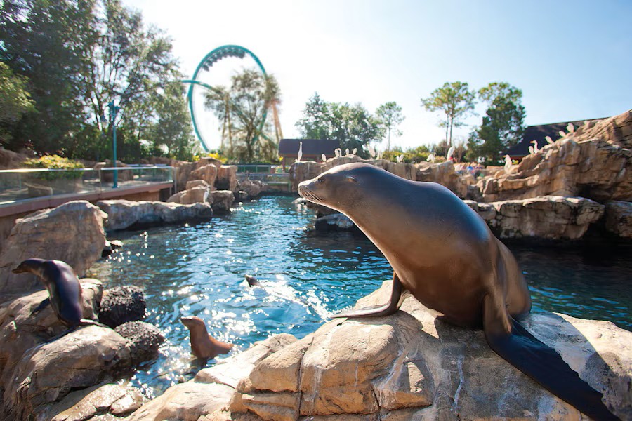 event-img-Orlando SeaWorld Admission Tickets