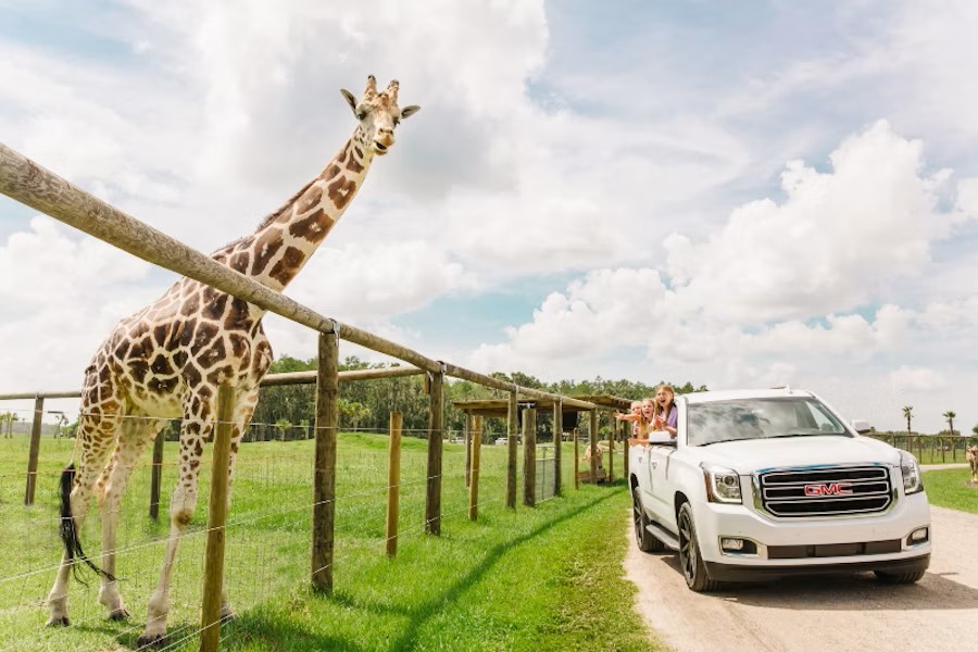 event-img-Wild Florida Safari Park Admission in Orlando